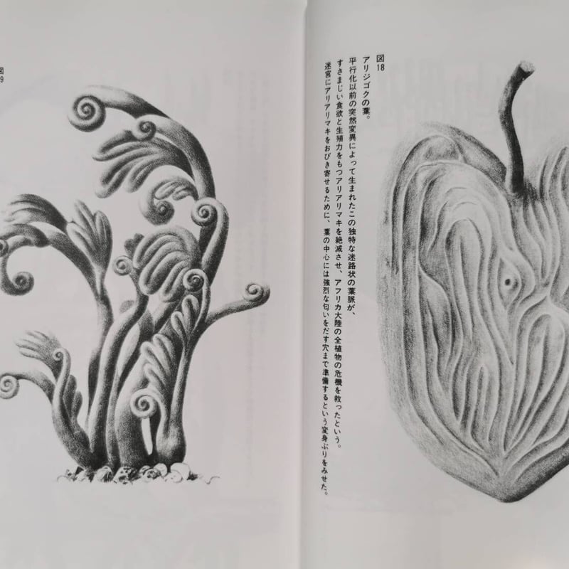 平行植物 レオ・レオーニ　【希少】元版セット　工作舎 平行植物(レオ・レオーニ、宮本淳 訳) / 古本、中古本、古書籍の通販は