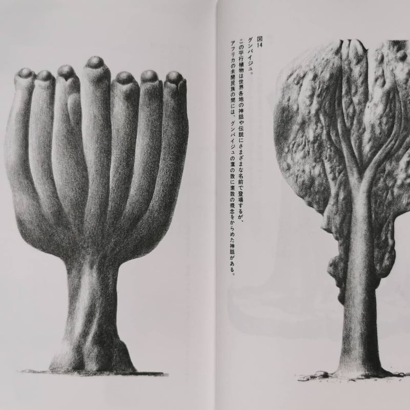 平行植物 - レオ・レオーニ | GREENTHINGS STORE and MUSIC DEPT.