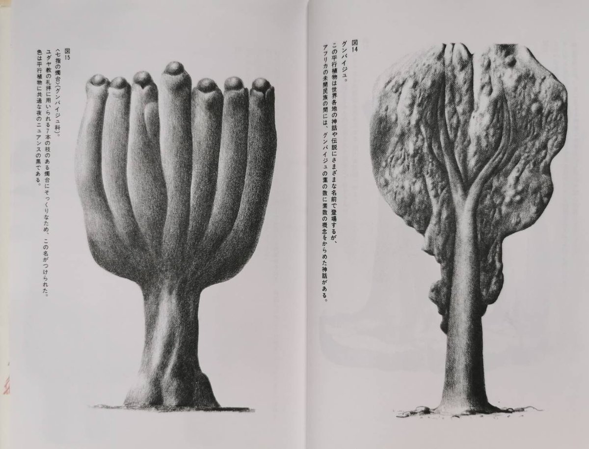 平行植物 レオ・レオーニ 【希少】元版セット 工作舎 平行植物 レオ