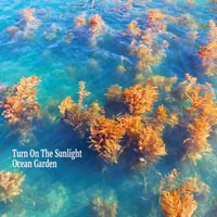 TURN ON THE SUNLIGHT-Ocean Garden【LP】