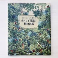 遊 1007号 量子流＋夢仮説 | GREENTHINGS STORE and MUSIC D