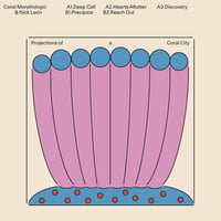 CORAL MORPHOLOGIC & NICK LEON - PROJECTIONS OF A CORAL CITY【LP】