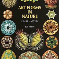 Art Forms in Nature - Ernst Haeckel