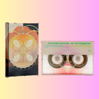 武田吉晴 Yoshiharu Takeda　Aspiration　レコード ASPIRATION/YOSHIHARU TAKEDA/武田吉晴/作編曲家、マルチ奏者として