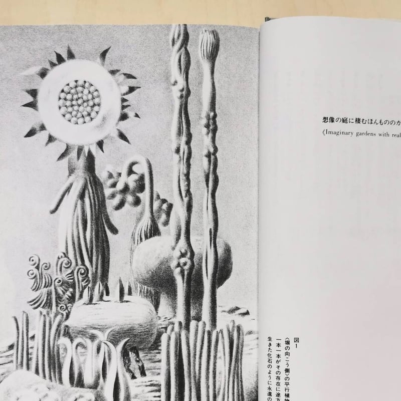 平行植物 - レオ・レオーニ | GREENTHINGS STORE and MUSIC DEPT.