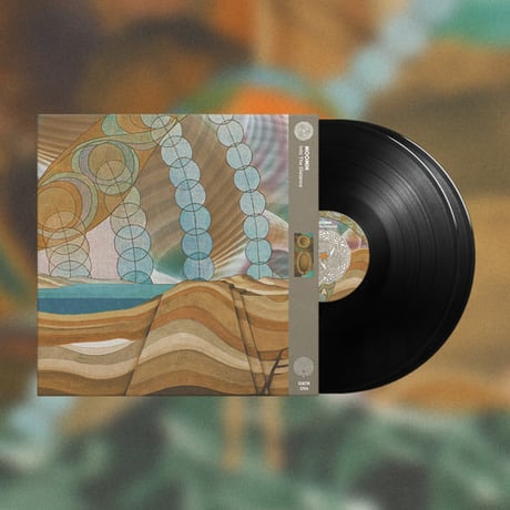 MOOMIN - INTO THE DISTANCE【2LP】
