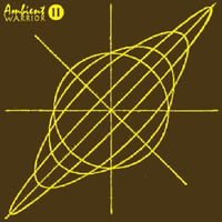 Ambient Warrior - II【LP】