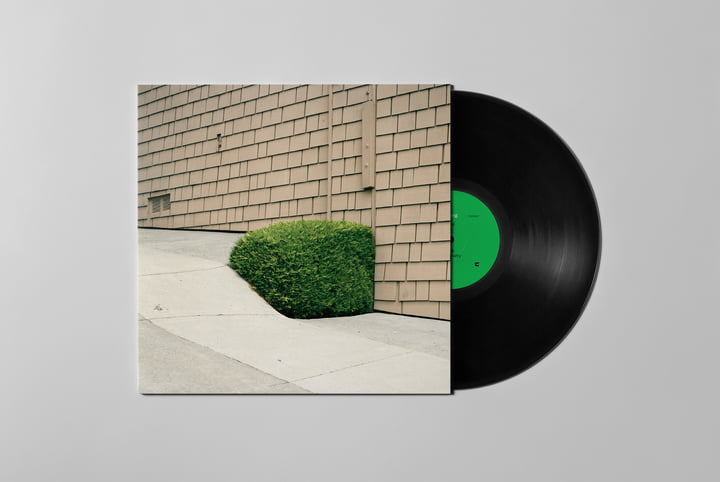 【新品未開封】【レコード】Ezra Feinberg Soft Power EZRA FEINBERG - SOFT POWER【LP】 | GREENTHINGS ST