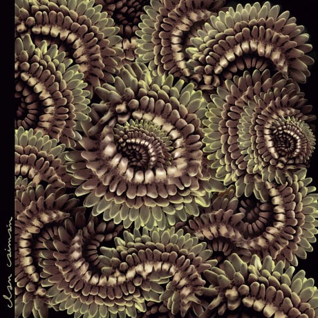 CLAN CAIMAN - PICA PAU【LP】