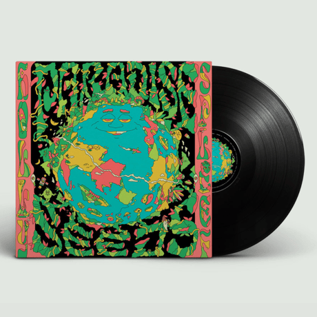 Hollyspleef - PARADISE SEEDS【LP】
