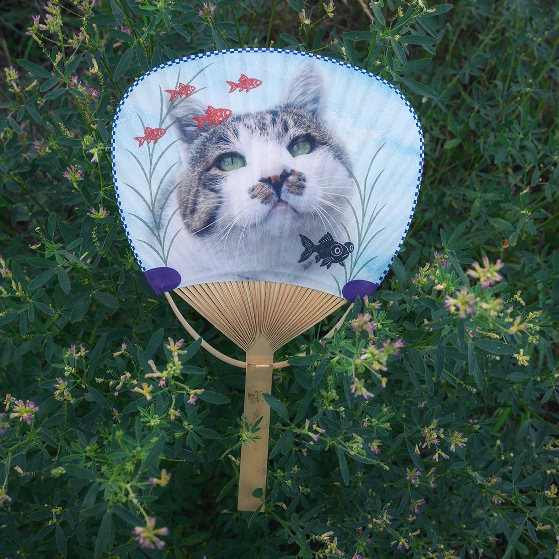 風来ケンジ団扇 | ケンジ商店