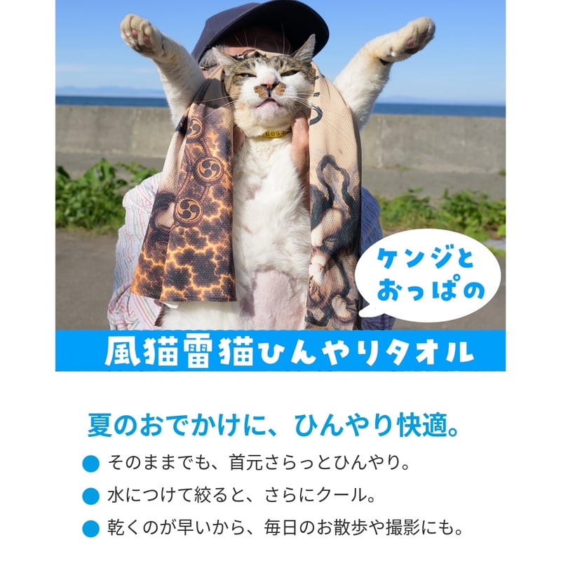 猫のひたいほどワイド グッズ タオル ひんやりタオル「ケンジとおっぱの風猫雷猫」 | ケンジ商店