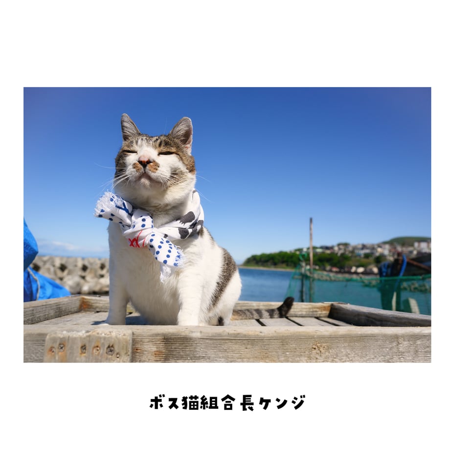 653c771cc774eb0bcc20a3ac
