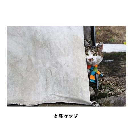 ポストカード（色々）