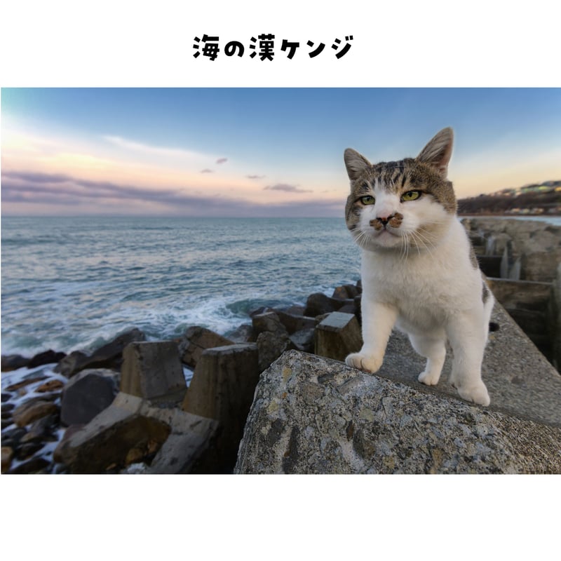 トシ様おまとめ専用ページです ポストカード（色々） | ケンジ商店
