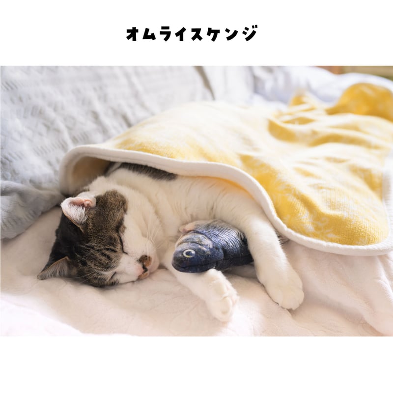 ポストカード（色々） | ケンジ商店