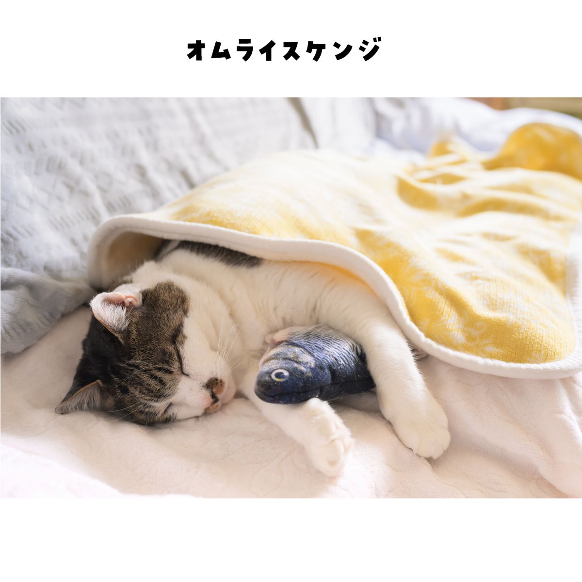 ポストカード（色々） | ケンジ商店