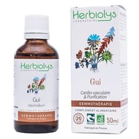 S27 ヨーロッパニレ｜シングルジェモ | Natural ReVita 🌱 植物幹細胞