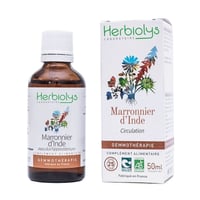 S07 カシス｜シングルジェモ | Natural ReVita 🌱 植物幹細胞療法 Gemm