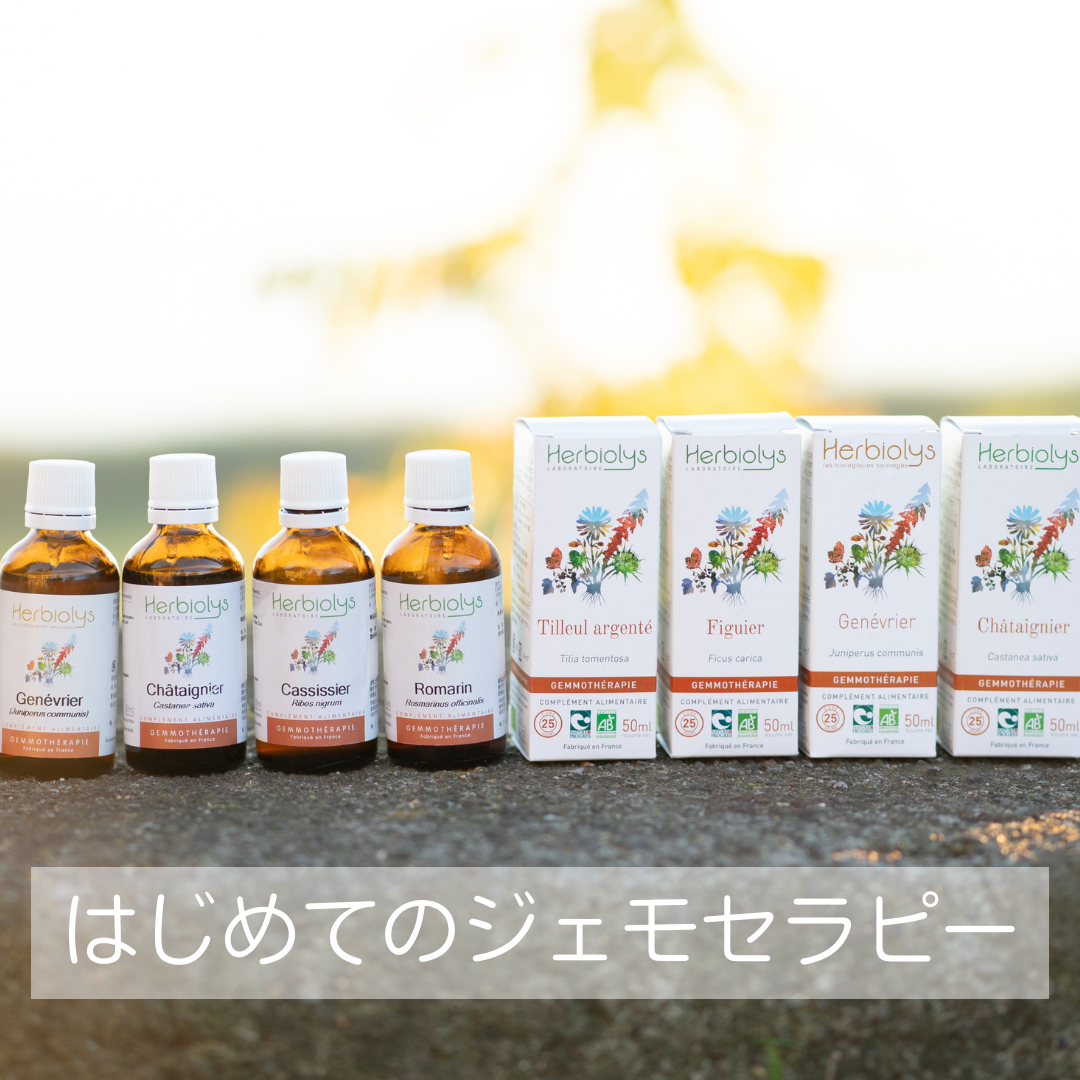 【専用】ローズマリ－ジェモセラピー　エルビオリス　フラワーエッセンス　他 楽天市場】ジェモセラピー ローズマリー 無農薬 無添加 クリアな