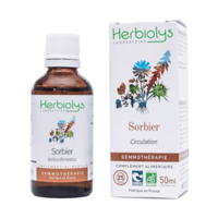 S15 ラズベリー（ヨーロッパキイチゴ）｜シングルジェモ | Natural