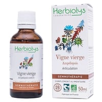 S16 セイヨウトネリコ｜シングルジェモ | Natural ReVita 🌱 植物