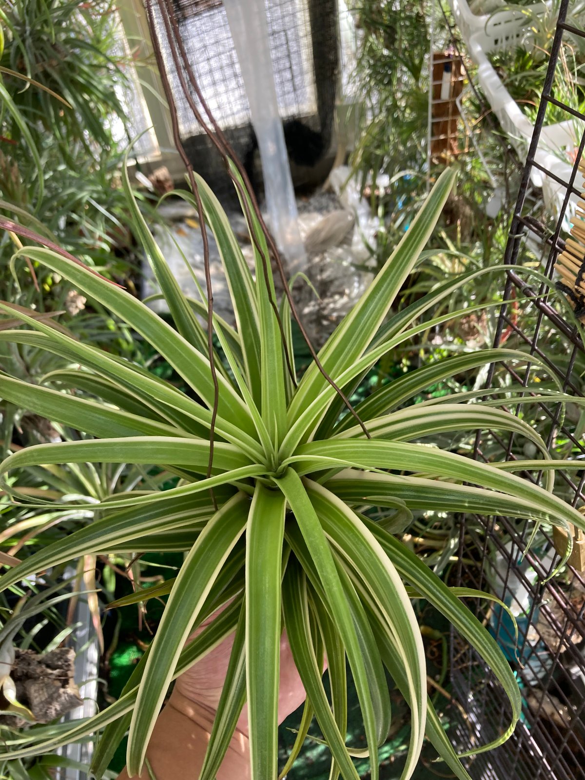 fit=scale-down,w=1200