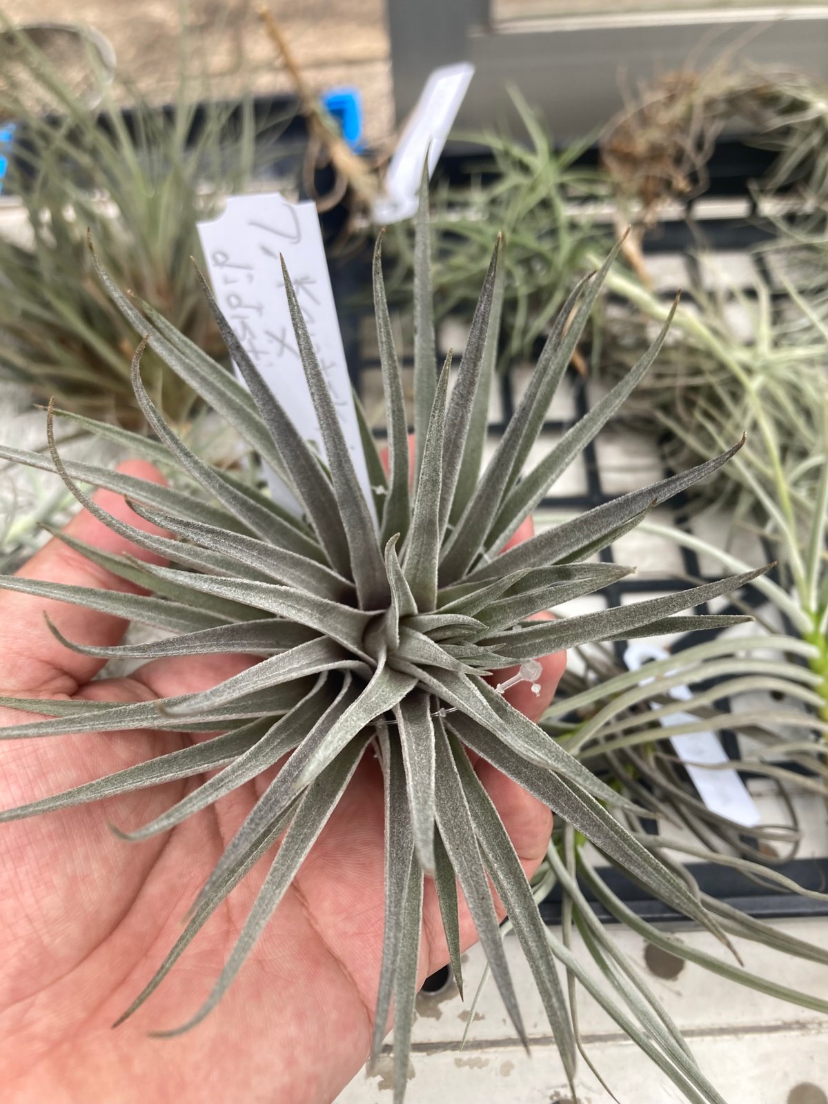 fit=scale-down,w=1200