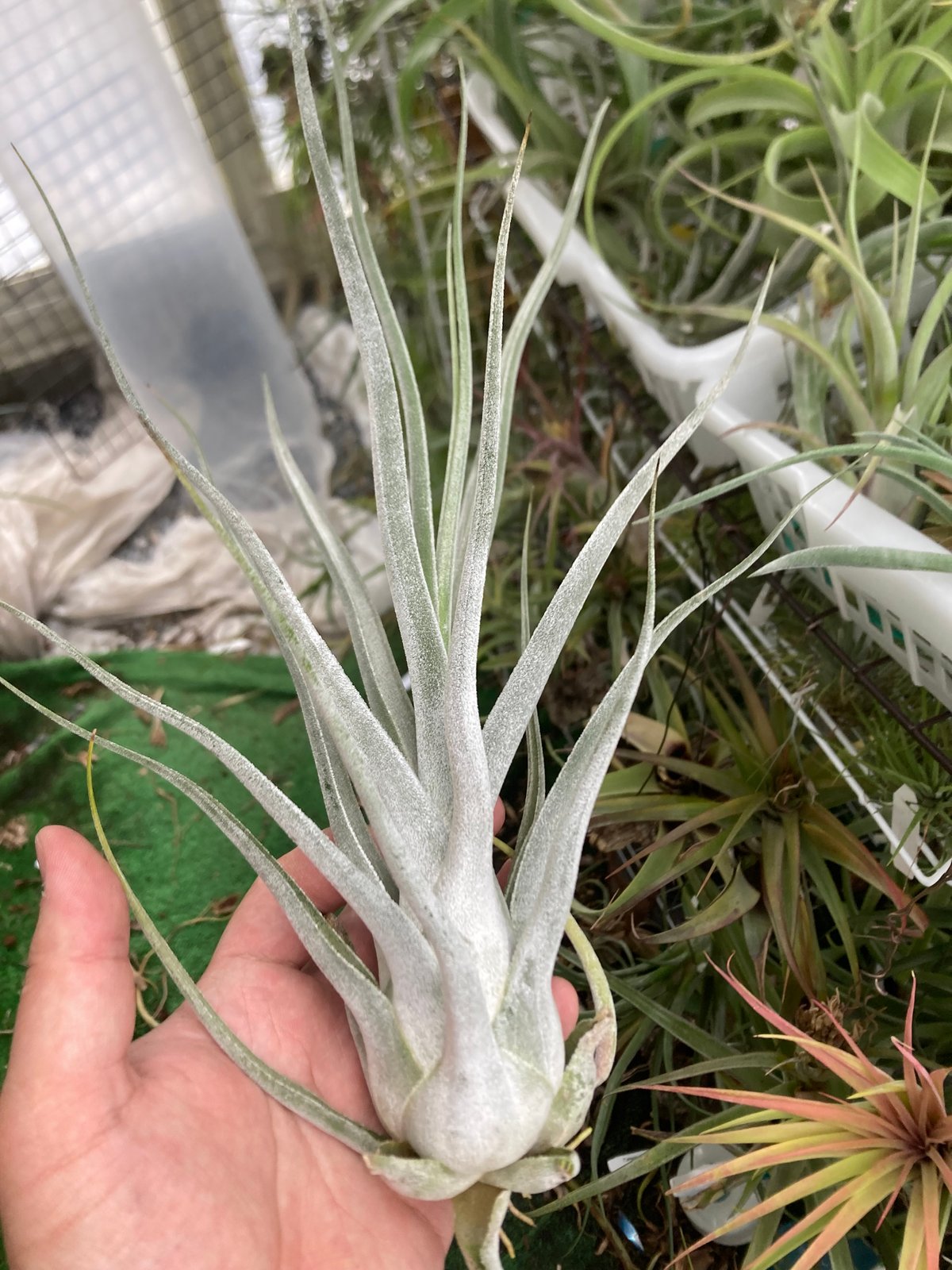 fit=scale-down,w=1200