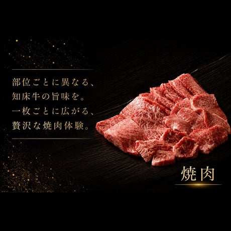 【お中元】知床牛 至福の極みセット ― 知床牛の魅力を余すことなく堪能する特別な贈り物 ―　※冷凍