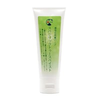 スパジリックトゥースペイスト　100g　（歯磨き粉）
