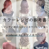 【未納分支払い専用】カラーレシピの参考書　～ピンチに役立つコピーカラーレシピ集～