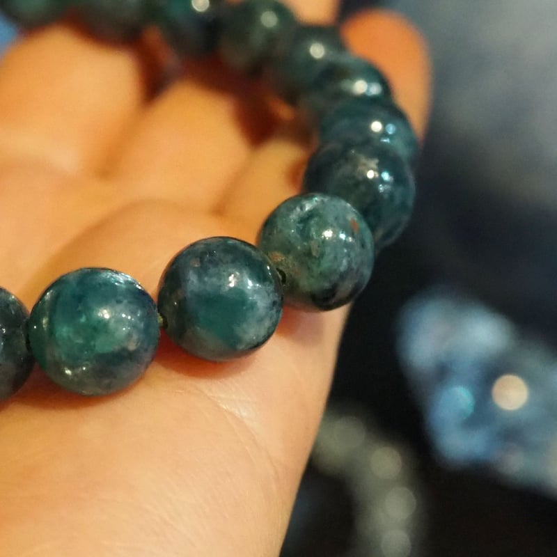 カイヤナイト（フックサイト共生）/アメリカ | チルル