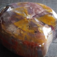 木化石（ぼっかせき）　アリゾナの珪化木・ペトリファイドウッド