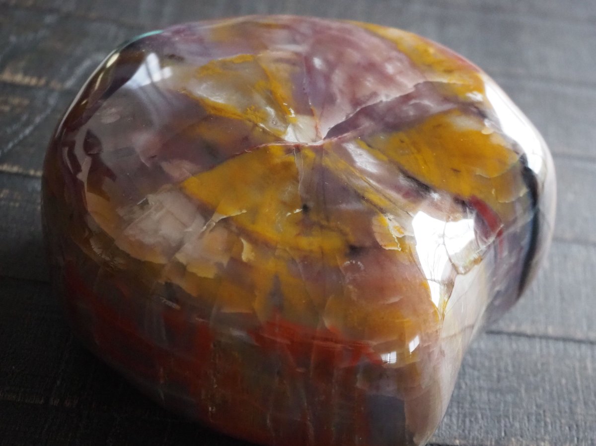 ★特選オンリー１品石★木の化石☆【ペトリファイドウッド珪化木✴︎原石】♡ 珪化木 けいかぼく ペトリファイドウッド ブラジル産 | 宝石研磨の匠