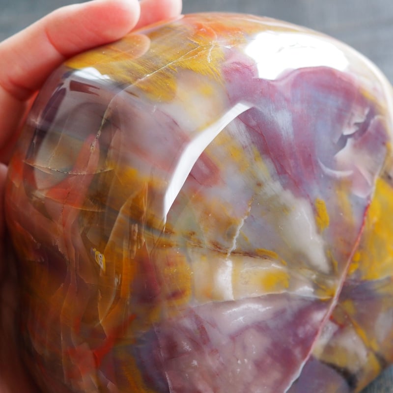 木化石（ぼっかせき） アリゾナの珪化木・ペトリファイドウッド | チルル