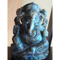 木化石（ぼっかせき） アリゾナの珪化木・ペトリファイドウッド | チルル