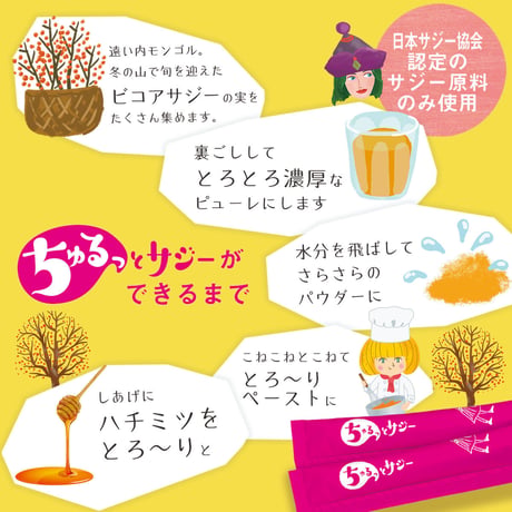 【単品】鉄分補給にちゅるっとサジー【4週間分】スペシャル缶入りパッケージ