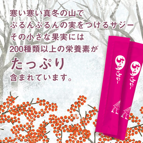 【単品】鉄分補給にちゅるっとサジー【4週間分】スペシャル缶入りパッケージ