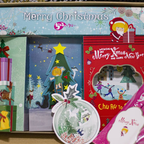 【限定30個】ちゅるっとサジーXmasスペシャルパッケージ