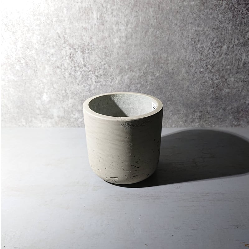 ○数量限定○”フィカス・ベンジャミンバロック 鉢カバー付き（オランダ