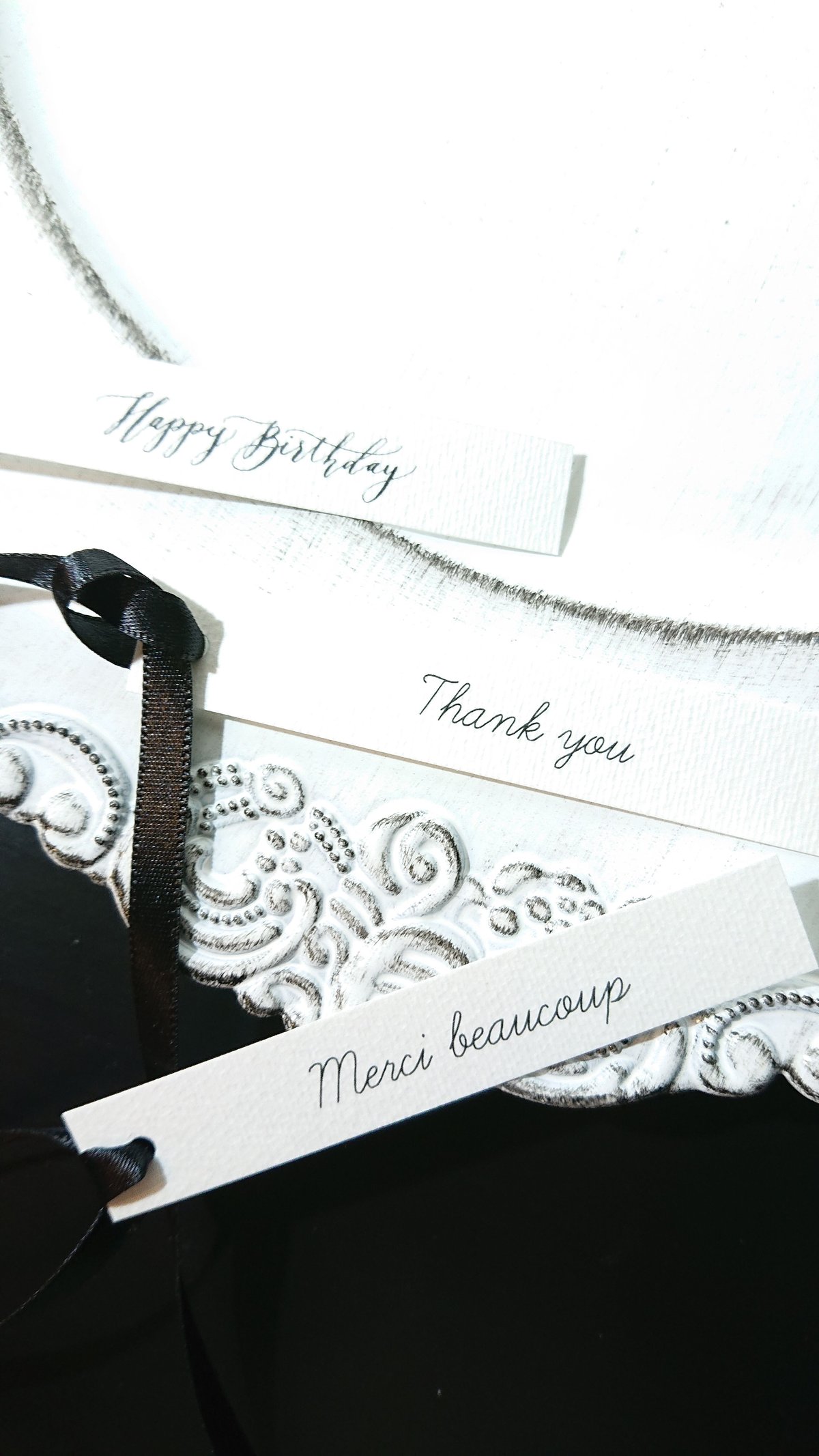 想いを伝える”Gypsophila elegans-calico” かすみ草-キャラコ(白