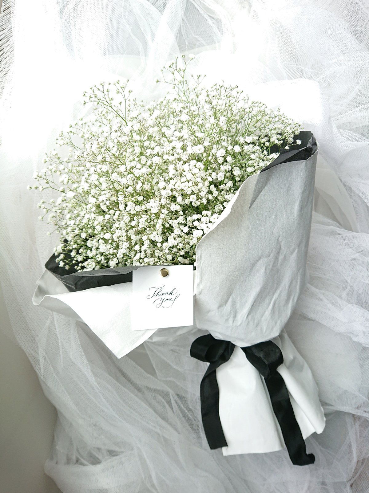 想いを伝える”Gypsophila elegans-calico” かすみ草-キャラコ(白木綿