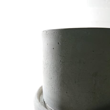 ●数量限定●オプンチア 　バニーカクタス（白桃扇）　サークルアッシュグレー鉢＆受け皿付き”　サボテン　観葉植物　グレー　多肉植物　おしゃれ