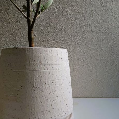 ●数量限定●新作●ギフト プレゼント　希少”オリーブの木　鉢/受け皿セット（ホワイト）”シルバーリーフ　観葉植物　モダン