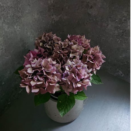 再値下げ❗️陶器製花鉢 紫と白の花 再値下げ❗️陶器製花鉢 紫と白の花