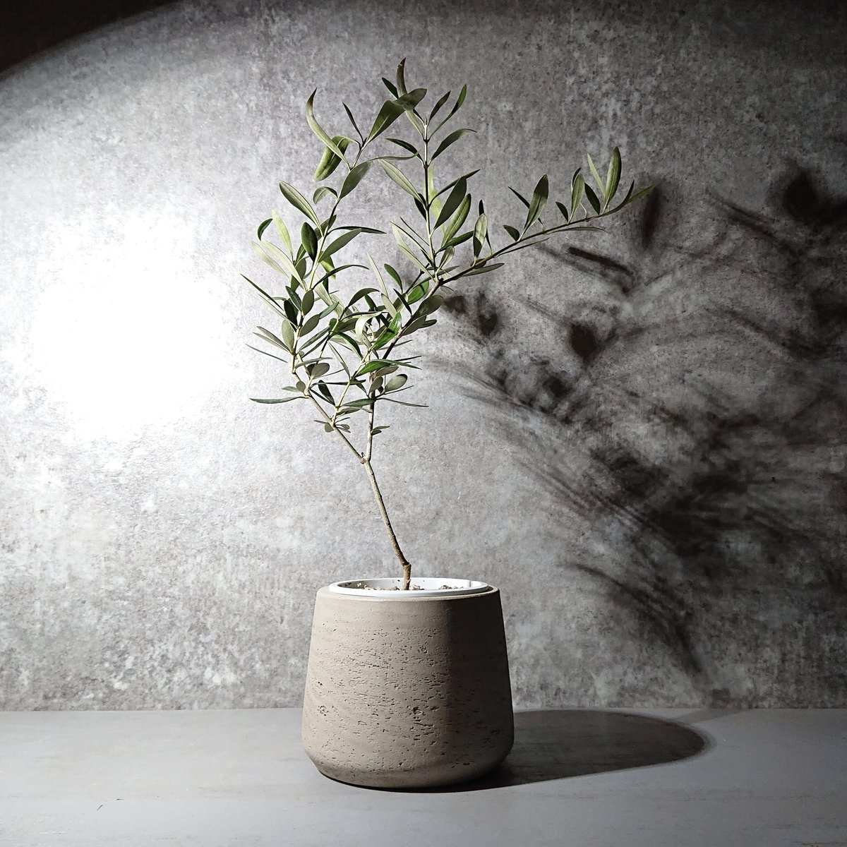 fit=scale-down,w=1200 fit=scale-down,w=1200