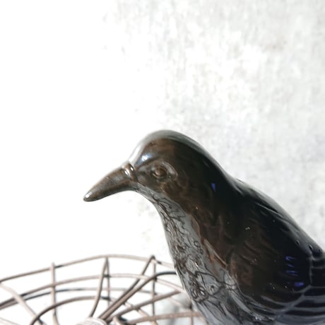 遊びに来た黒い鳥