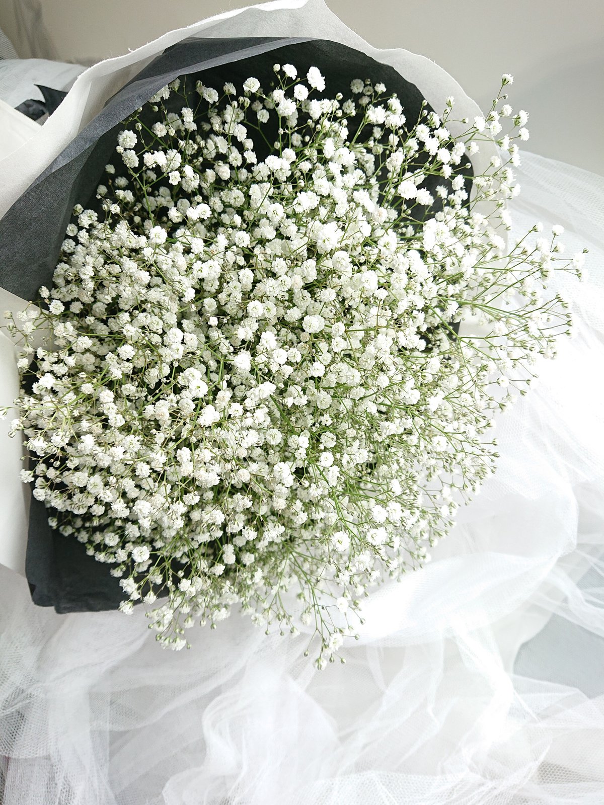 想いを伝える”Gypsophila elegans-calico” かすみ草-キャラコ(白