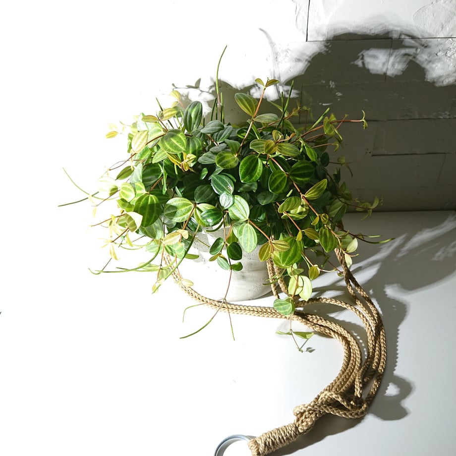 60e546ef228d2664a8987adc